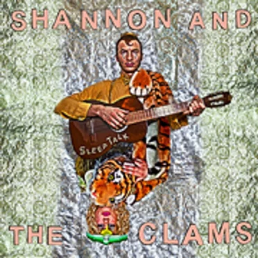 Sleep Talk by Shannon and the Clams - album cover