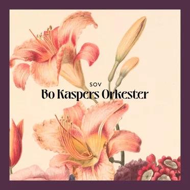 Sov by Bo Kaspers Orkester - album cover
