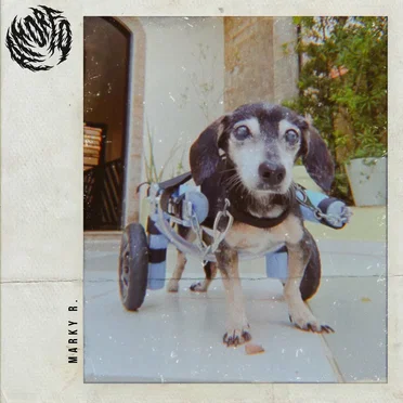 Marky R. by Amorfo - album cover