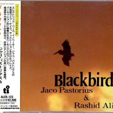 Blackbird