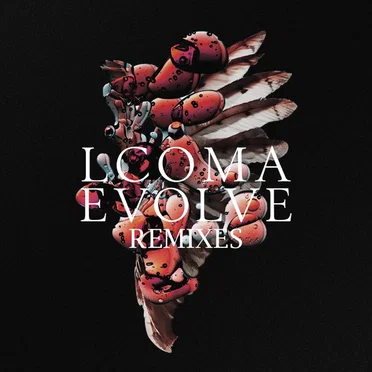 Evolve Remixes by Lcoma - album cover