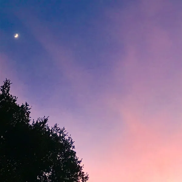 Beyond the Lovers’ Paradox Into the Perfect Lovers’ Infinity