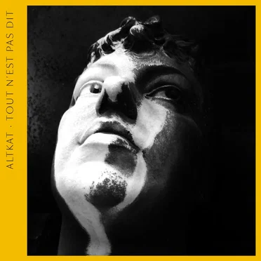 Tout n'est pas dit by Altkat - album cover