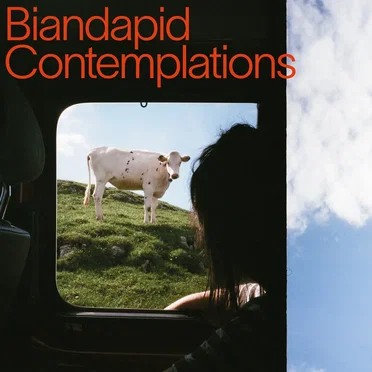 Contemplations by Biandapid - album cover