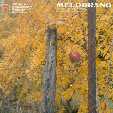 Melograno