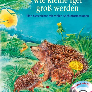 Wie kleine Igel groß werden by Friederun Reichenstetter - album cover