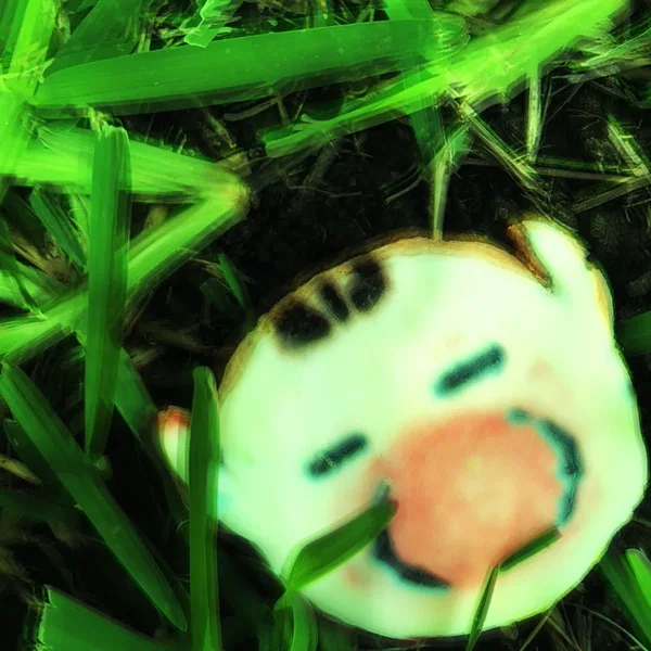 𝚜𝚑𝚒𝚙 𝚕𝚘𝚐