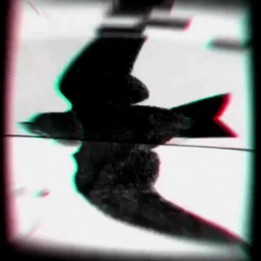 Hole Shaped Hole by Rat October - album cover
