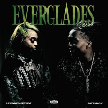 Everglades (remix)
