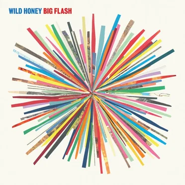 Big Flash by Wild Honey - album cover
