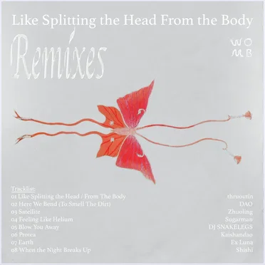 Like Splitting the Head From the Body: Remixes