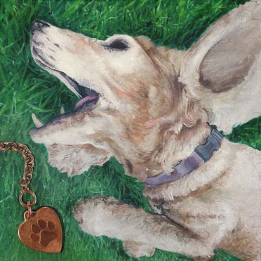 My Dear Canine by Scowls - album cover