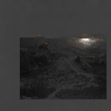 The Glass Garden by Flesh of the Stars - album cover