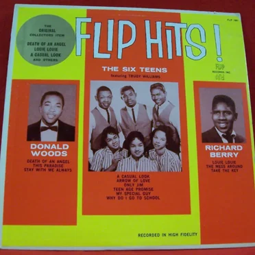 12 Flip Hits !