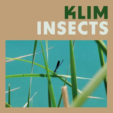 Insects