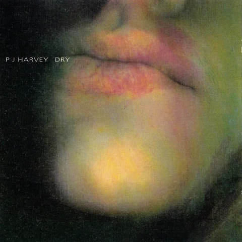 PJ Harvey & John Parish