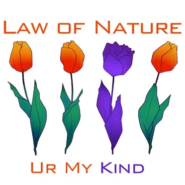 Ur My Kind by Law of Nature - album cover