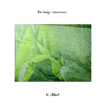 Le Début by The Banjo Consorsium - album cover
