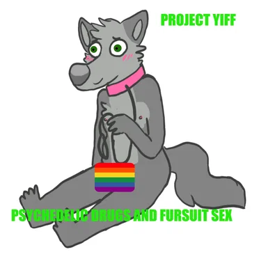 Psychedelic Drugs and Fursuit Sex