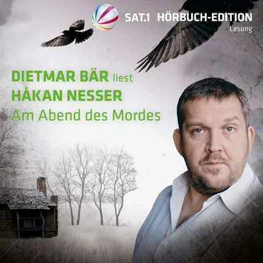 Am Abend des Mordes by Håkan Nesser - album cover
