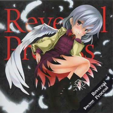 Reversal Process