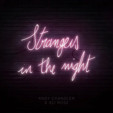 Strangers In The Night