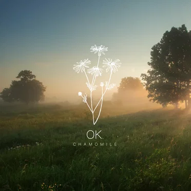 Misty Meadow