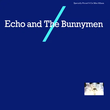 Echo and the Bunnymen