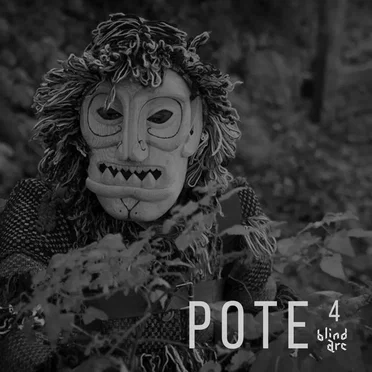 Pote 4 by Various Artists - album cover