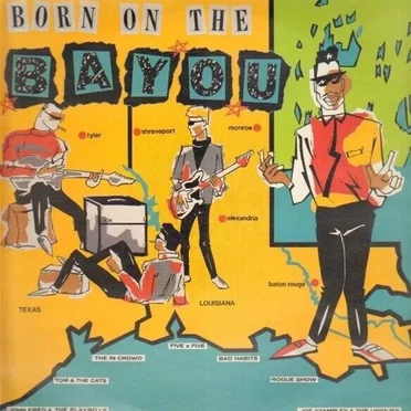 Born on the Bayou by Various Artists - album cover