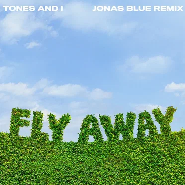 Fly Away (Jonas Blue remix)