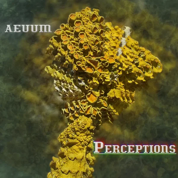 Perceptions