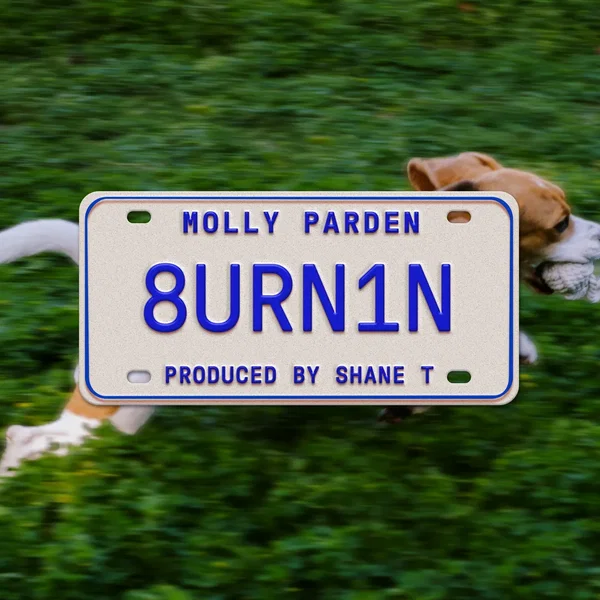 Burnin