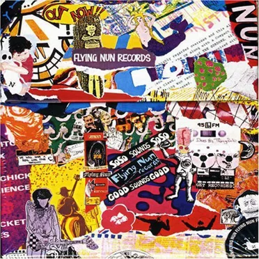 Flying Nun 25th Anniversary Box Set by Various Artists - album cover