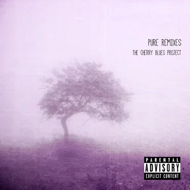 Pure Remixes