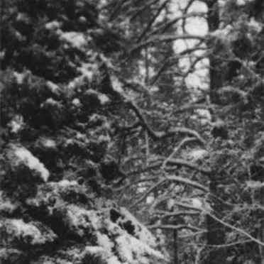 Les saisons froides / Songe d'une nuit d'hivers