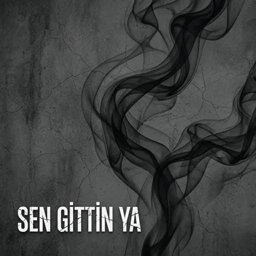 Sen Gittin Ya
