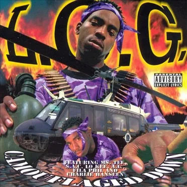 Camouflaged Down by L.O.G. - album cover