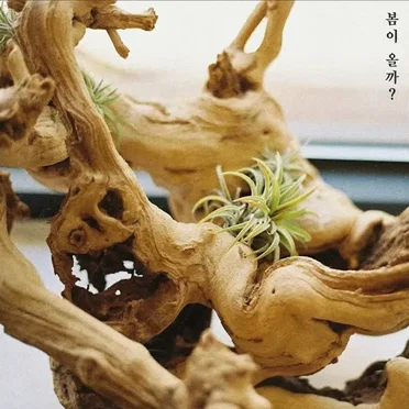 Will spring come? by Def. - album cover