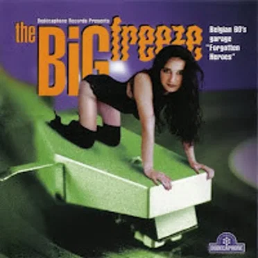 The Big Freeze (Belgian 60's Garage "Forgotten Heroes") by Various Artists - album cover