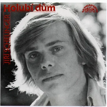 Holubí dům