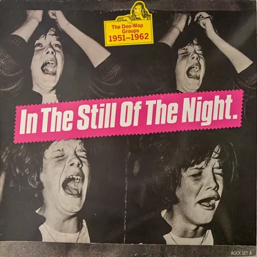 In The Still Of The Night. The Doo-Wop Groups 1951-1962 by Various Artists - album cover