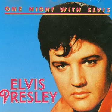 One Night With The King