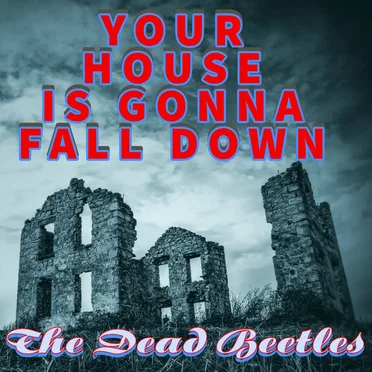 Your House Is Gonna Fall Down