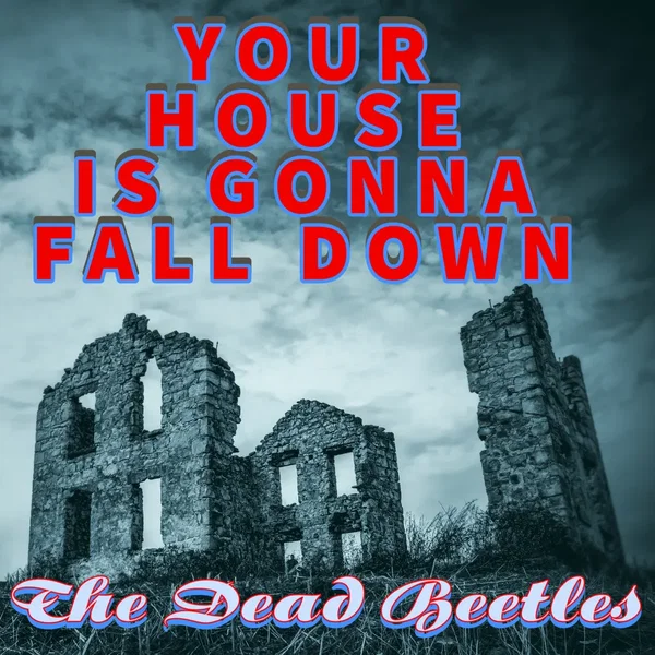 Your House Is Gonna Fall Down