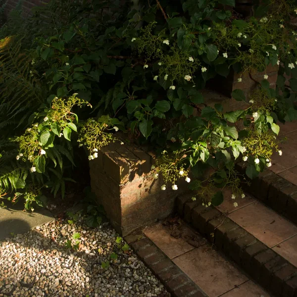 the garden (mini)