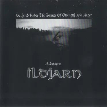 Gathered Under the Banner of Strength and Anger: A Homage to Ildjarn by Various Artists - album cover