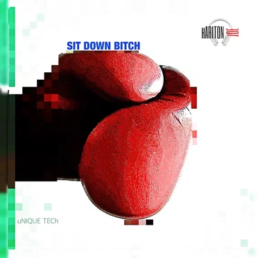 SIT DOWN BItCH by hARITON zOE - album cover
