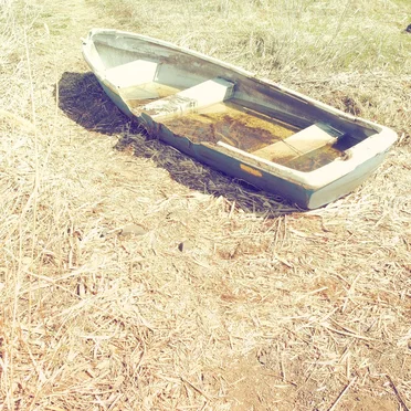 rust | sea