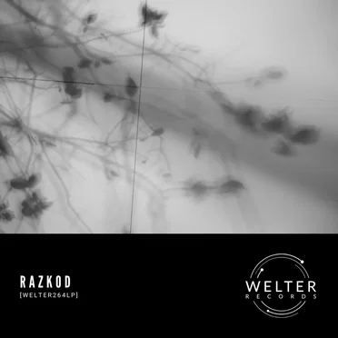 WELTER264LP by Razkod - album cover